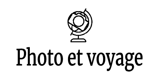 Logo du site et mappemonde